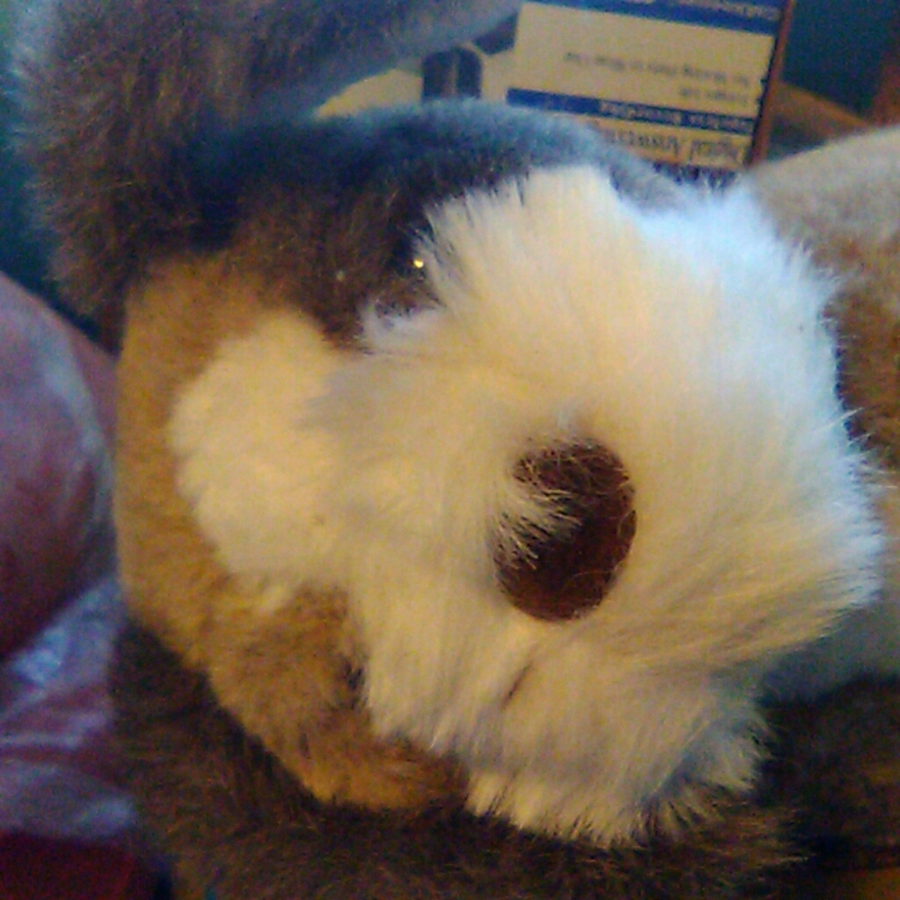 Stuffed toy - Picture 2 of 3